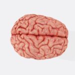 photo-1644648479153-2a3dbee76212-3