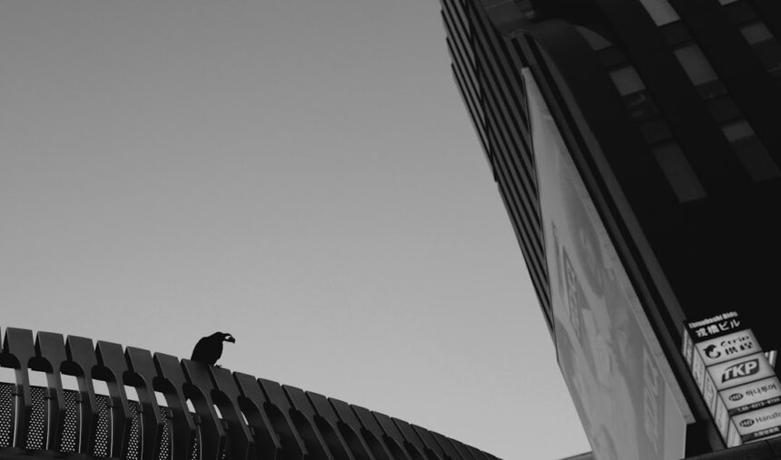 photo-1652373579402-0cc0ee0e4540