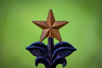 photo-1655127018833-f7c6d2e74550