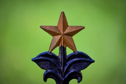 photo-1655127018833-f7c6d2e74550