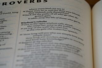 photo-1661323633914-dc6f3b0866b7