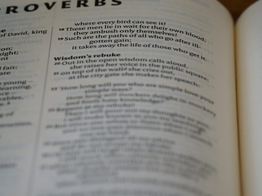 photo-1661323633914-dc6f3b0866b7