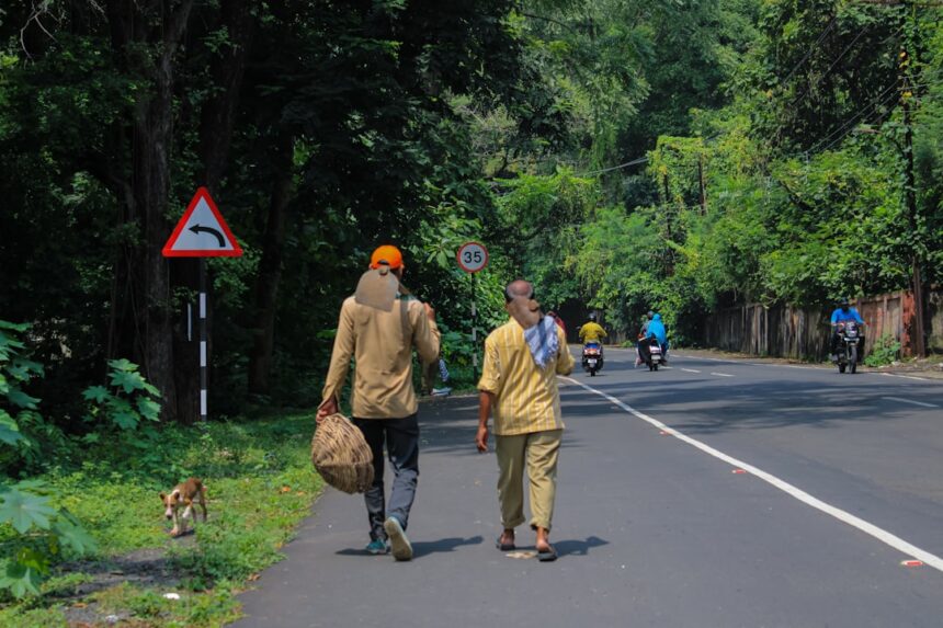 photo-1664387801897-57e66447b3c3