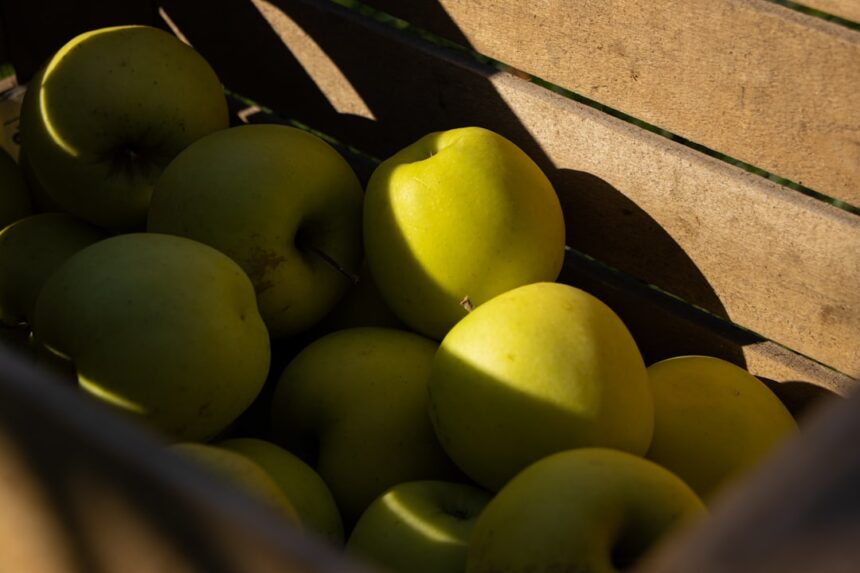 photo-1669104376352-8717f1759ec4-1