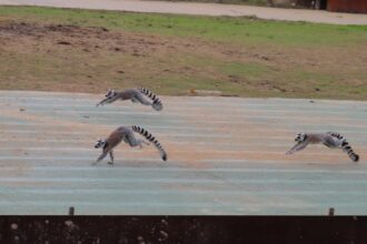 photo-1670503539444-52a448de3ee1-1