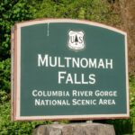 photo-1670795031441-f9c4fb40fda0