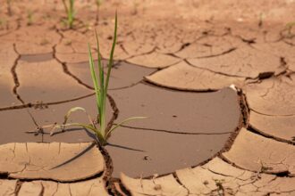 photo-1677750976828-fc210134c198