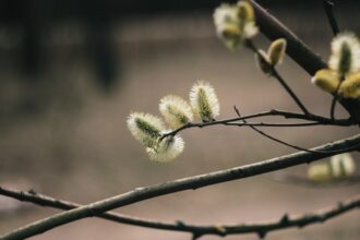 photo-1681564364368-ff21f3cb49b2-1