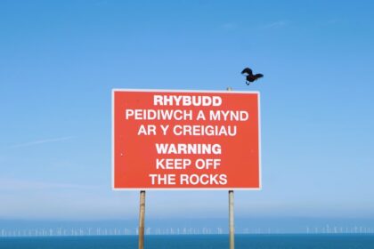 photo-1694362504389-57382431faed