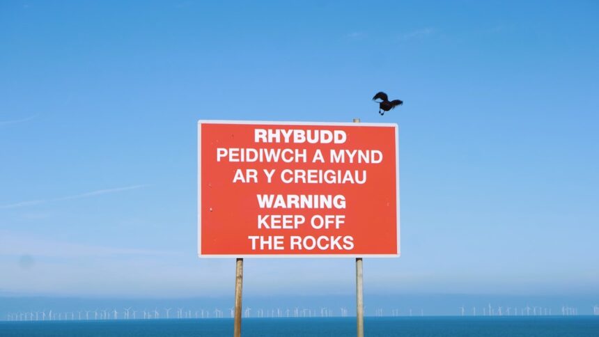 photo-1694362504389-57382431faed