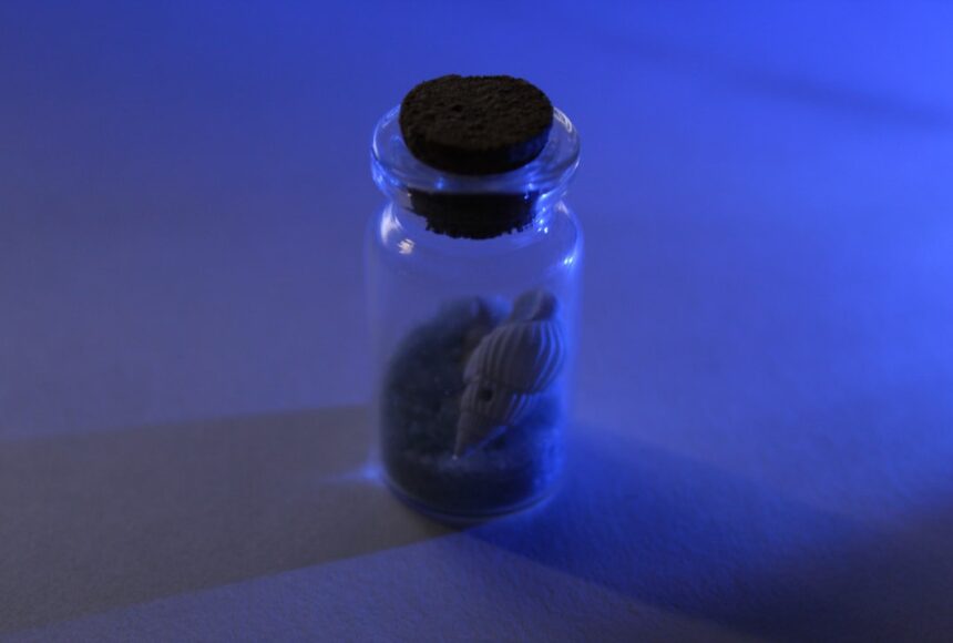 photo-1694904828416-d0a350008338