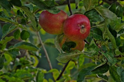 photo-1702897906462-b47c34908f36