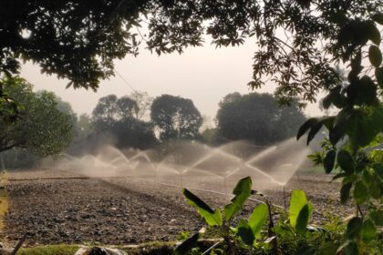 photo-1704162485983-7b5cf81894e1-1