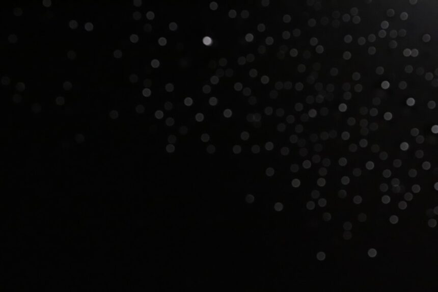 photo-1705514680578-4cd247c0dd10