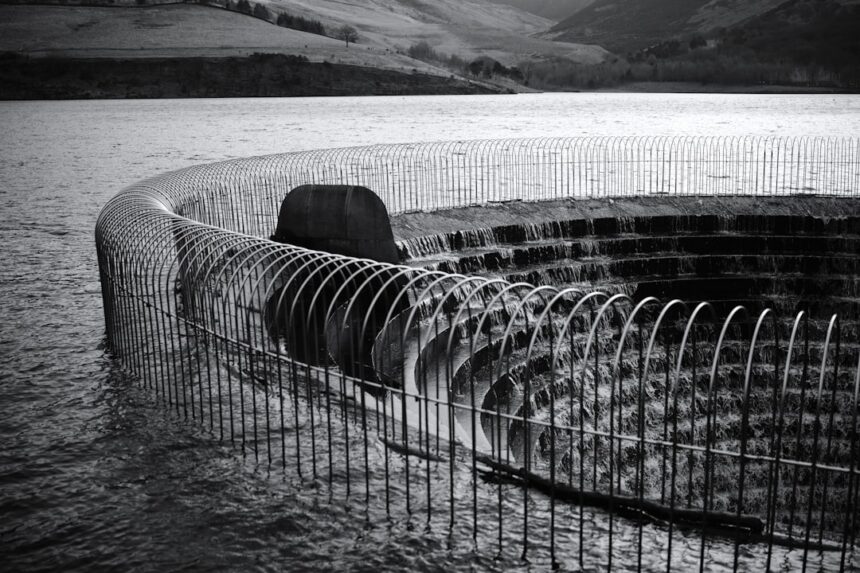 photo-1706637006971-24c847539f03