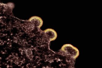 photo-1706647155270-adf578072e39-3