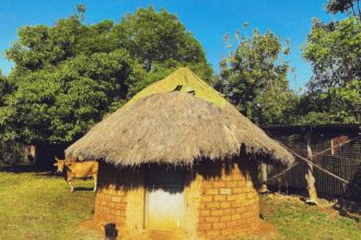 photo-1707385372536-757413138f8f