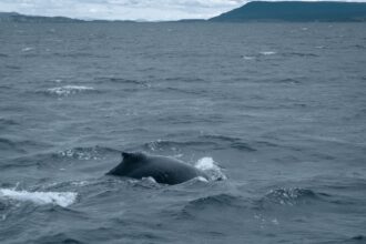 photo-1708036789679-f7f0daa819c8