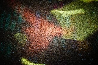 photo-1711049139533-1efc8291478c