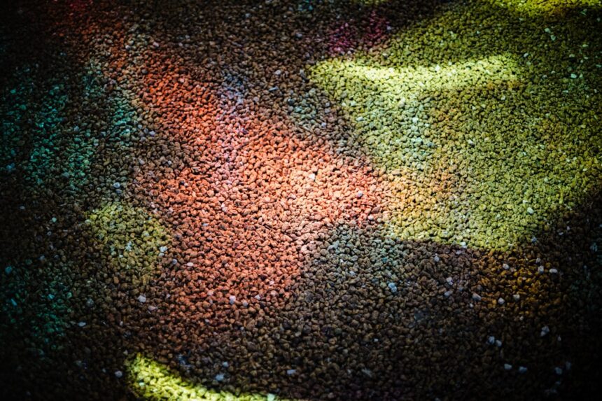 photo-1711049139533-1efc8291478c