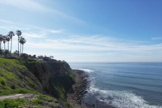 photo-1724280985091-f60b697fb914