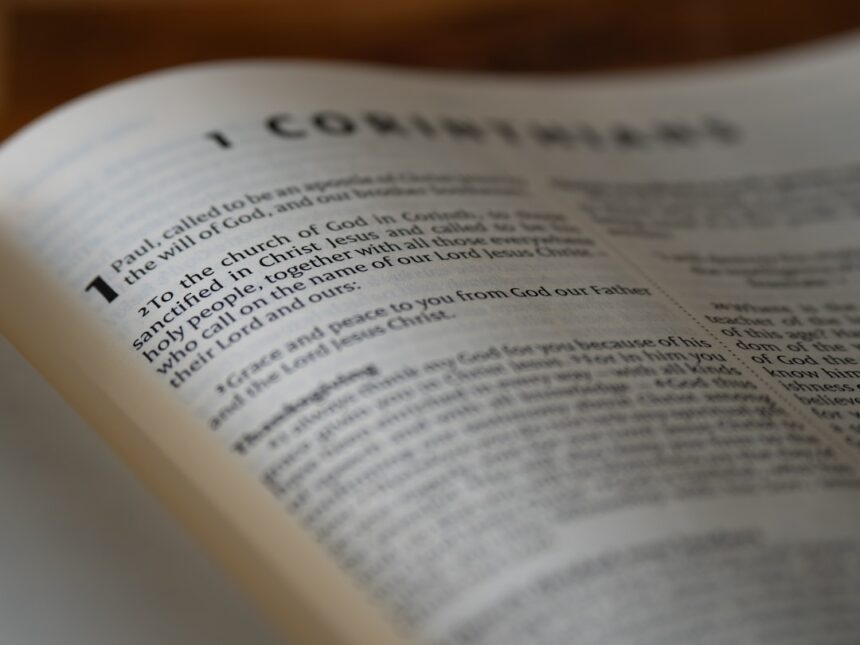 photo-1733502038265-472707cf68d8