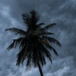 photo-1744573730189-702f06e68e84