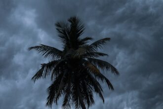 photo-1744573730189-702f06e68e84