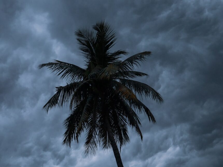 photo-1744573730189-702f06e68e84