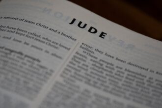 photo-1749569267077-a2c9dde420ad