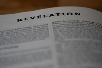 photo-1749737352119-7e6a4adc7ef7