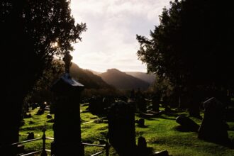 photo-1755274969825-b8d46e3cb19d