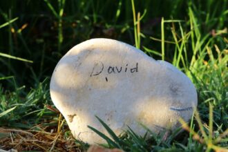 photo-1757306675863-ca66b76a08e0