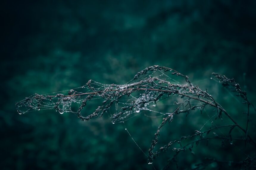 photo-1757479622395-96f98d13b151