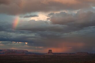 photo-1758552395674-adad0e734339-2