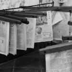 photo-1758562235072-876b0135cfda-21