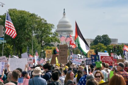 photo-1760891781127-05ee4b2f9304