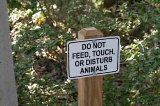 photo-1762626135050-f1c3e9b02c25