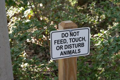 photo-1762626135050-f1c3e9b02c25