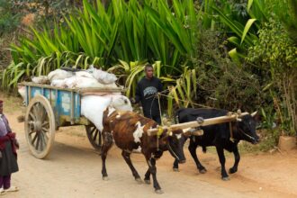 photo-1764933493162-3696c7ccb508