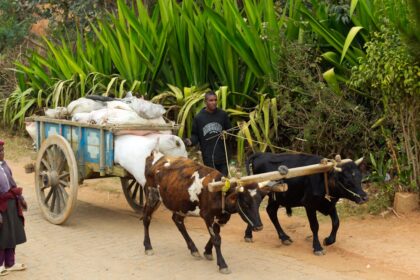 photo-1764933493162-3696c7ccb508