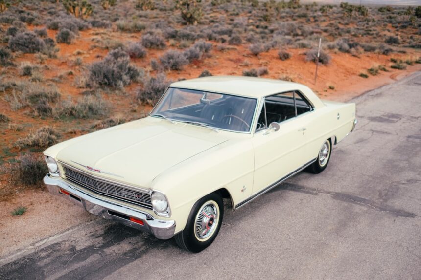 photo-1765211003721-c61019545b42