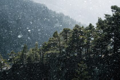 photo-1765961053940-feaa1d55923e