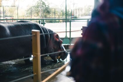 photo-1768346614777-b307a40faf7e