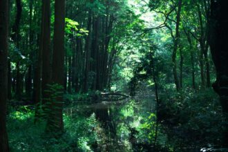 photo-1770783808268-dd4b689e26eb