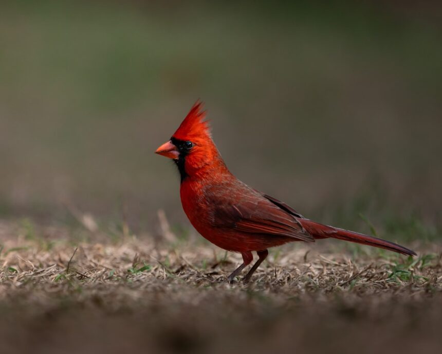 photo-1771637077662-5f7a608db9ef-3