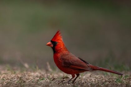 photo-1771637077662-5f7a608db9ef-4