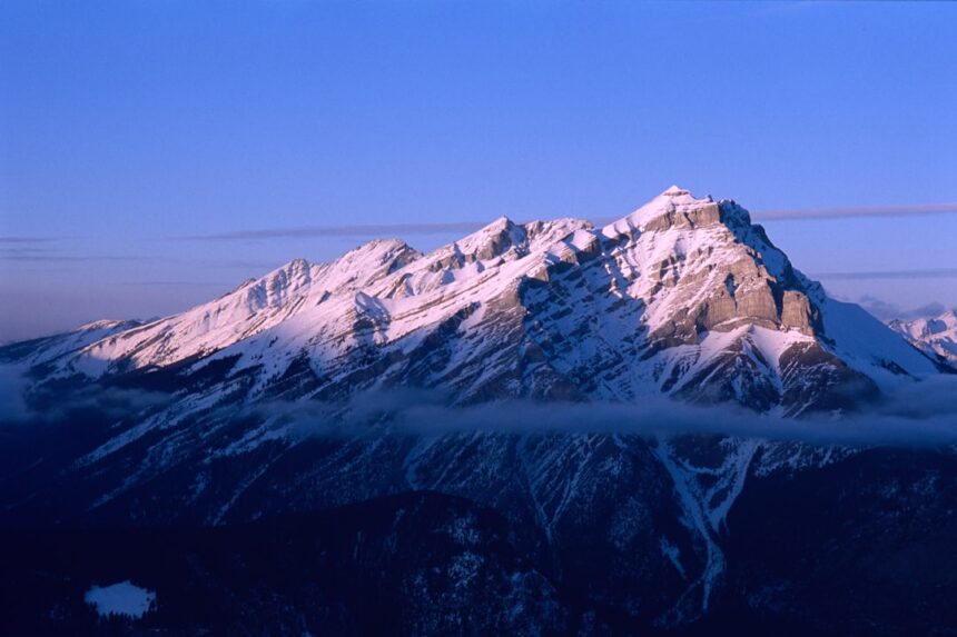 photo-1772129259710-4e853ecab384-1