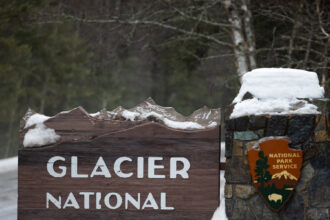 09xp-bear-glacier-tqgm-mediumSquareAt3X