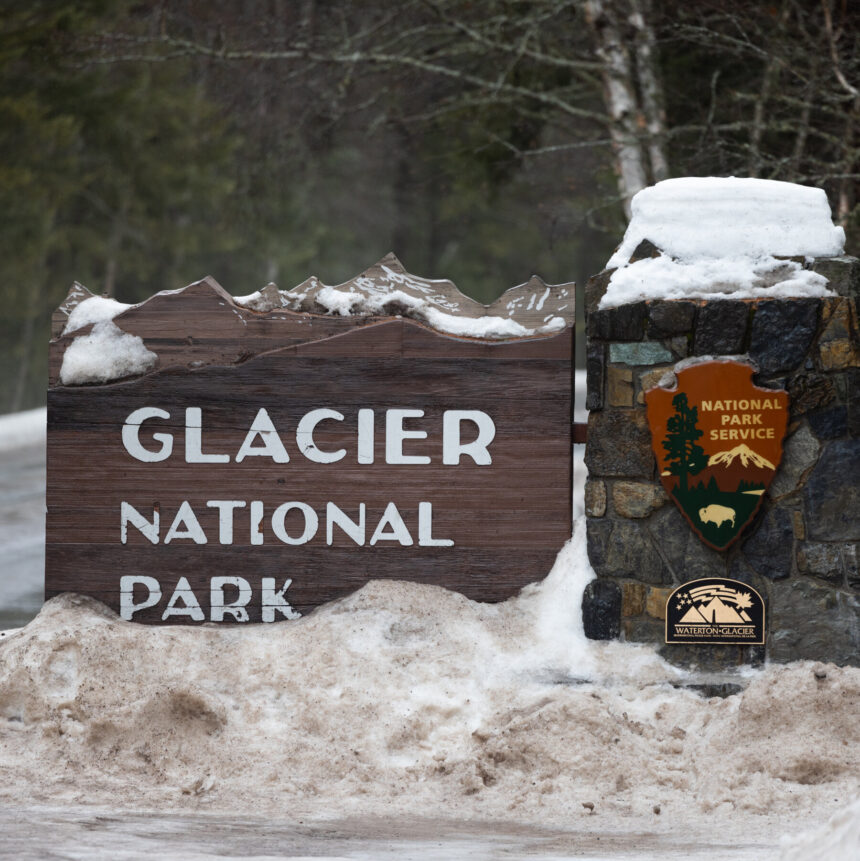 09xp-bear-glacier-tqgm-mediumSquareAt3X